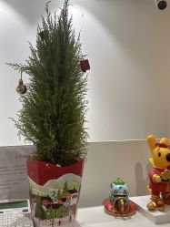 -春田皮肤管理中心品牌旗舰店
