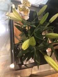 -永琪美容美发全国直营连锁