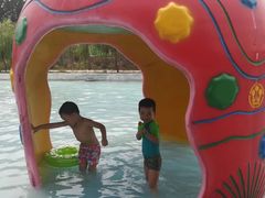 -东方巨龟苑景区