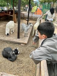 -童心园麦窑·儿童拓展探宝乐园