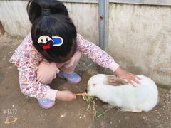 -前小桔亲子创意农场·草莓采摘·露营烧烤