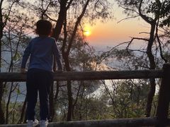 -铁山坪森林公园