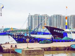 -沈家门渔港