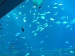 -南昌海洋公园