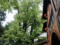-青城山