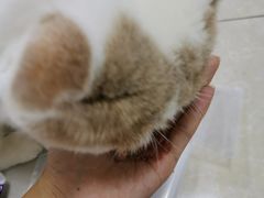 -联合动物医院(光谷诊疗中心)