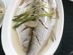 清蒸白鱼-湖鲜楼