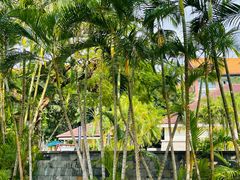 -三亚海棠湾万丽度假酒店