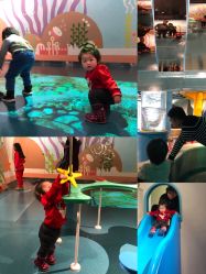 -北京科学中心儿童乐园