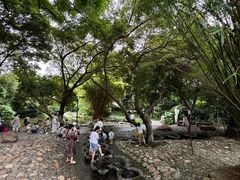 -成都市活水公园