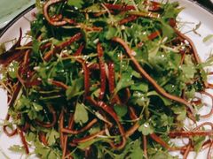 香椿苗拌豆腐丝-北平盛世·新京菜·北京烤鸭(劲松·双井店)