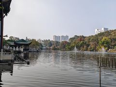 -桂湖森林公园