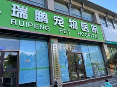 -瑞鹏宠物医院·内科·中兽医·骨科(苗圃店)