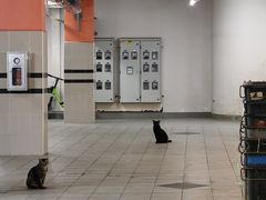 -牛车水美食街