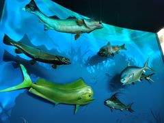 -陕西自然博物馆