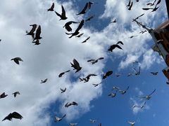 -谢尔盖圣三一大修道院