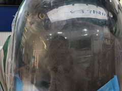 -它主义宠物(梁溪万达店)