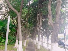 -深圳国际园林花卉博览园