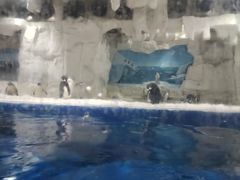 -华夏文旅西安度假区