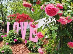 -武汉园博园(武汉自然博物馆)