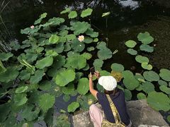 -太阳宫公园
