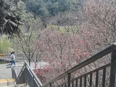 -宁波野生动物园