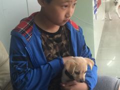 -爱侣宠医·鹦鹉专科·小型哺乳类·异宠专科(灵石路店)