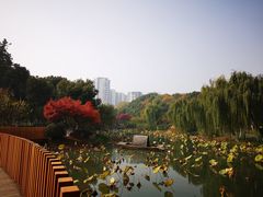 -圩墩遗址公园