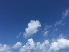 -白沙滩