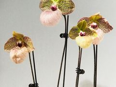 -北京植物园-展览温室