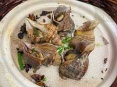 盐焗海螺-老虎滩大连海鲜烧烤(建邺云锦路总店)