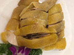 -外沙疍家棚酒楼