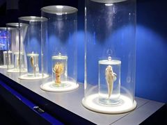 -福州罗源湾海洋世界旅游区