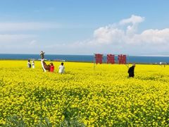 -青海湖国家重点风景名胜区