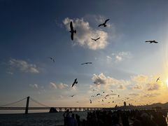 -大连星海广场音乐喷泉