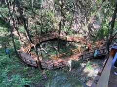 -大岭沟猕猴桃谷风景区