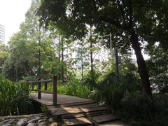 -成都市活水公园