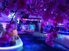 -世界恐龙谷景区