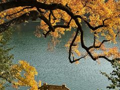 -溪口-滕头旅游景区