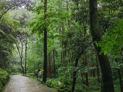 -虎跑公园