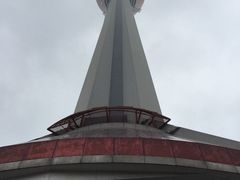 339旋转餐厅-339旋转餐厅(天府熊猫塔店)