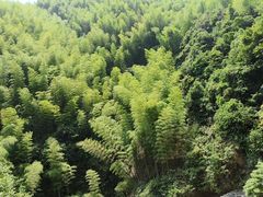 -将军关探险漂流