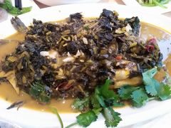 雪菜昂刺鱼-新天厨酒家(二分店)
