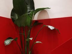 -震山堂·手工劲面(仓山万达店)