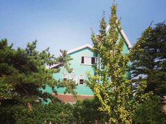 android_upload_pic-八大关景区