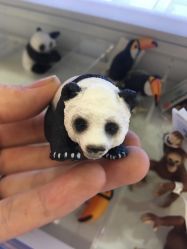 -KIDSLAND(北京蓝色港湾店)