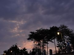 -深圳湾公园(南山区)