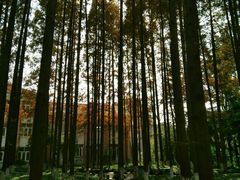 场地-华东理工大学·停车场