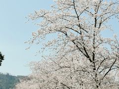 -穹窿山景区