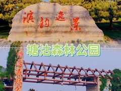 -塘沽森林公园